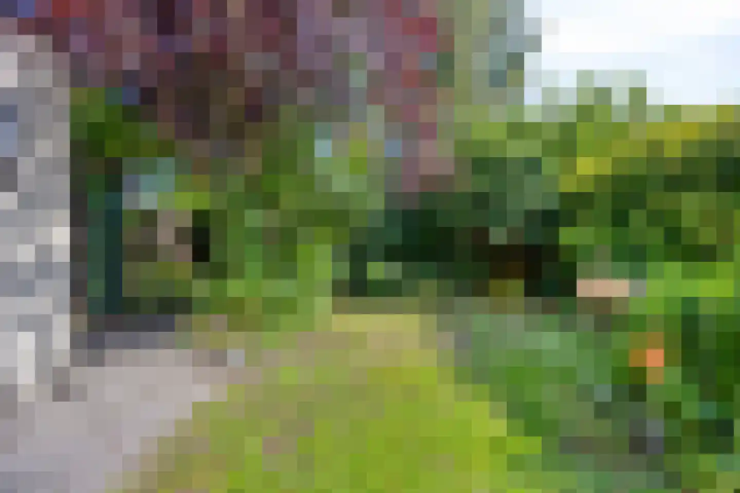 Anna Clasina op 't Landtplantsoen 15 Heerhugowaard thumbnail 52