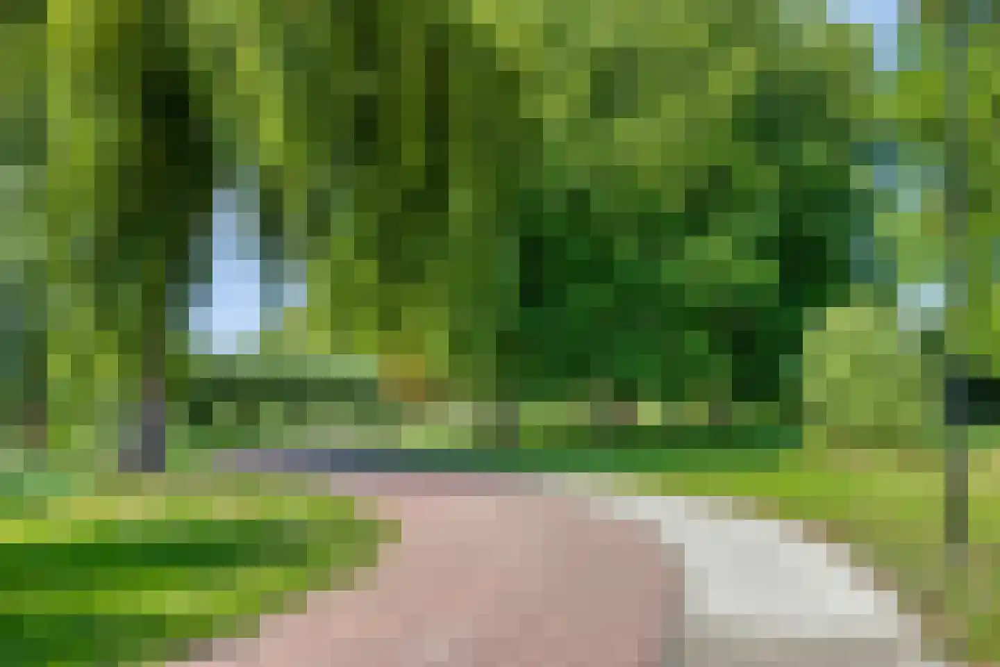 Anna Clasina op 't Landtplantsoen 15 Heerhugowaard thumbnail 63