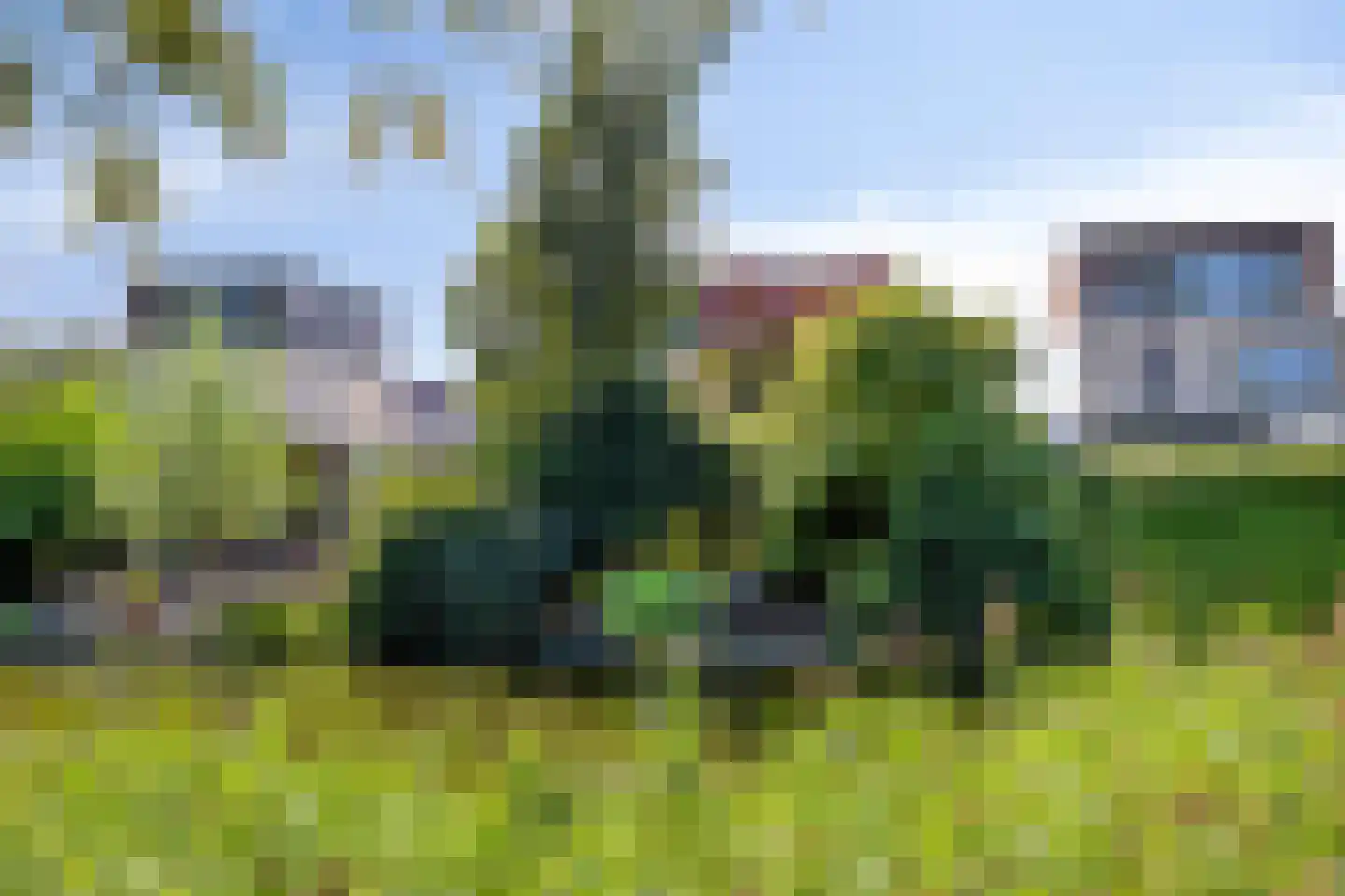 Anna Clasina op 't Landtplantsoen 15 Heerhugowaard thumbnail 64