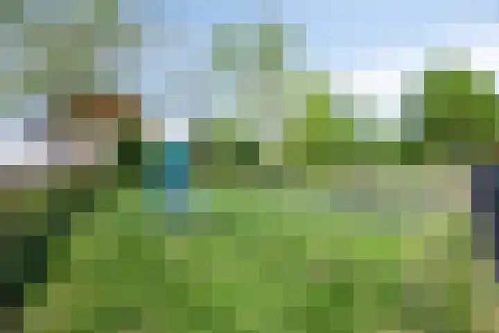 Anna Clasina op 't Landtplantsoen 43 Heerhugowaard thumbnail 48