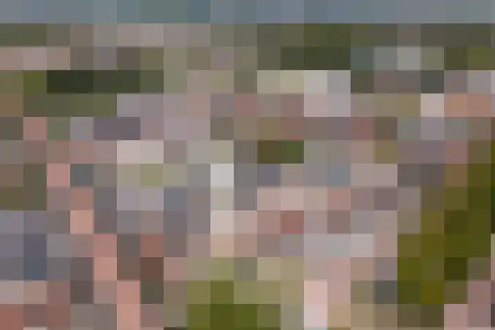 Anna Heringa-Jongbloedtuin 14 Heerhugowaard thumbnail 38