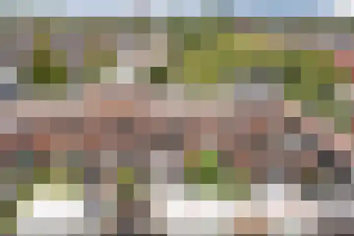 Anna Heringa-Jongbloedtuin 14 Heerhugowaard thumbnail 40