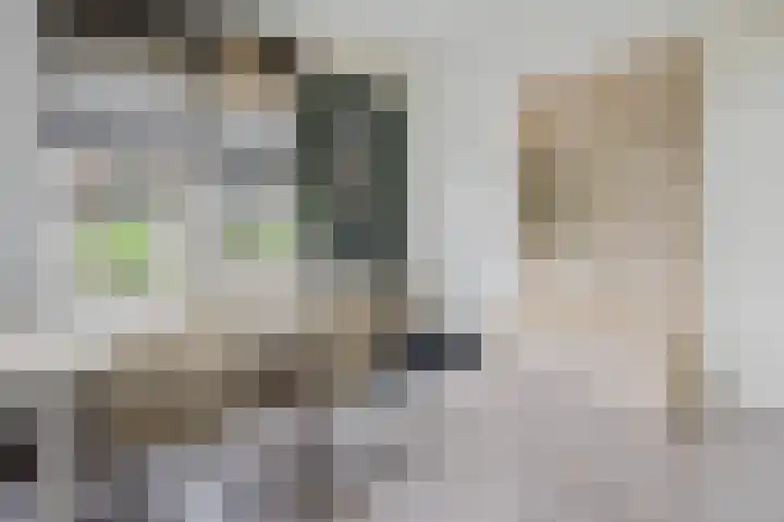 Anna-Hoevestraat 6 Brielle thumbnail 13