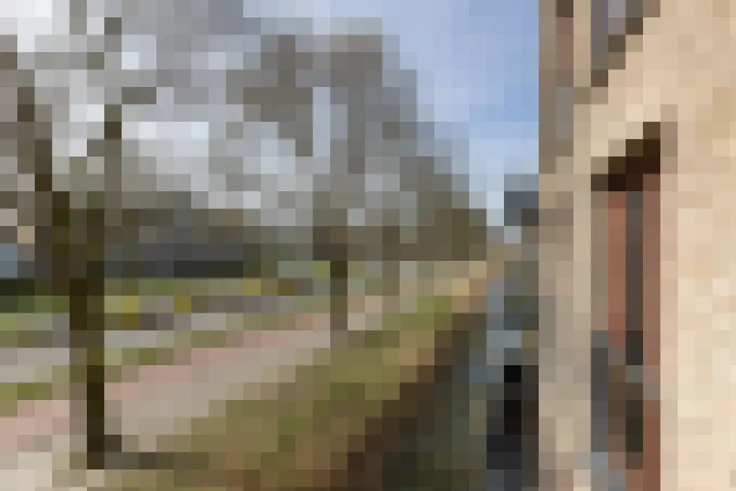 Anna Horstinkstraat 94 Weesp thumbnail 19
