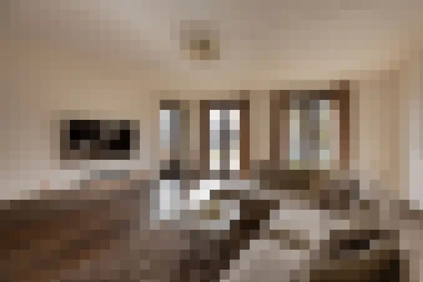 Anna Horstinkstraat 94 Weesp thumbnail 6