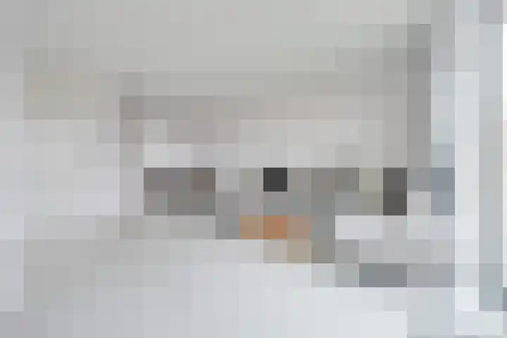 Anna J. Cooperstraat 63 Almere thumbnail 8