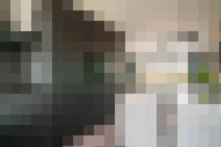 Anna J. Cooperstraat 81 Almere thumbnail 12