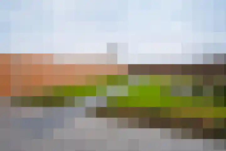 Anna J. Cooperstraat 81 Almere thumbnail 26