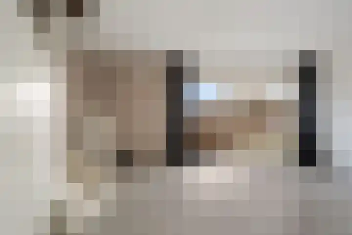 Anna Karenina erf 44 Capelle aan den IJssel thumbnail 10