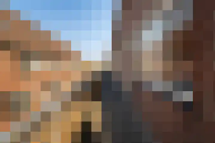 Anna Karenina erf 44 Capelle aan den IJssel thumbnail 37