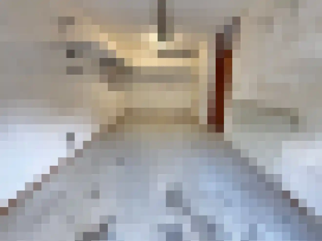 Anna Kaulbachhof 3 Driehuis NH thumbnail 11