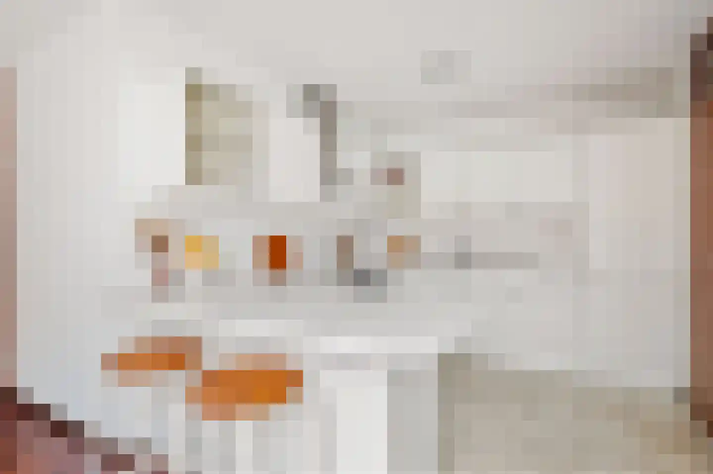 Anna Kaulbachhof 3 Driehuis NH thumbnail 15