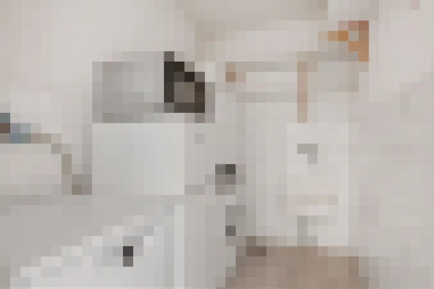Anna Kaulbachhof 3 Driehuis NH thumbnail 17