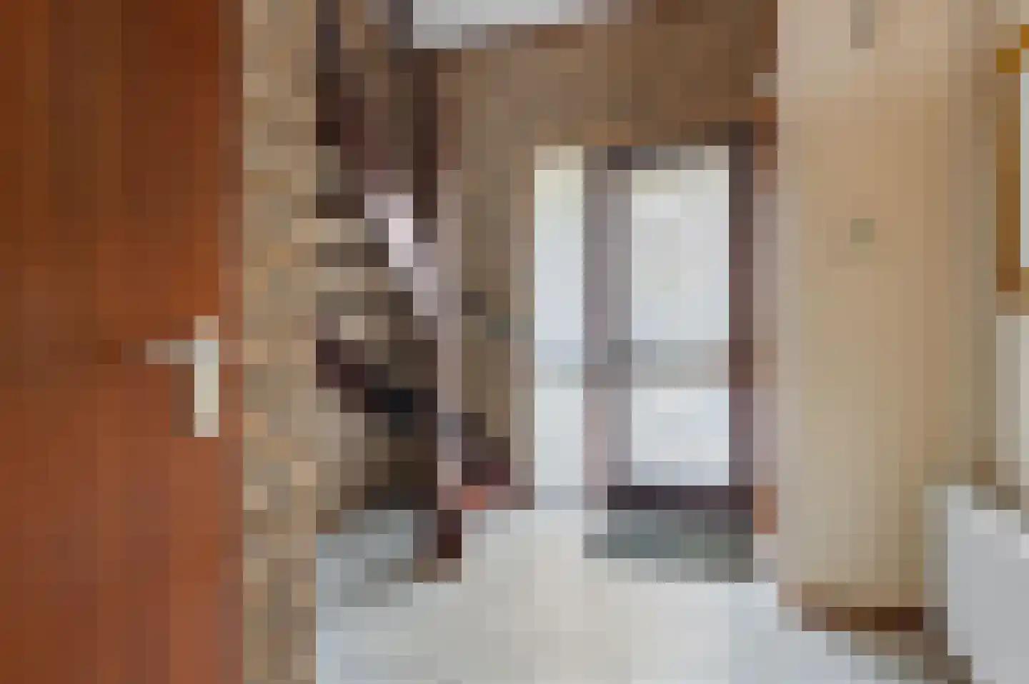 Anna Kaulbachhof 3 Driehuis NH thumbnail 36