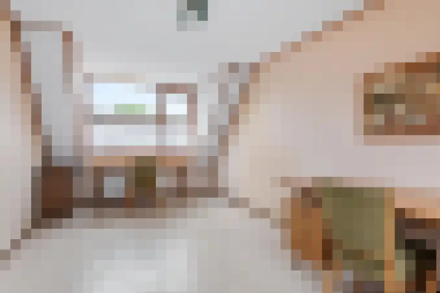 Anna Kaulbachhof 3 Driehuis NH thumbnail 39