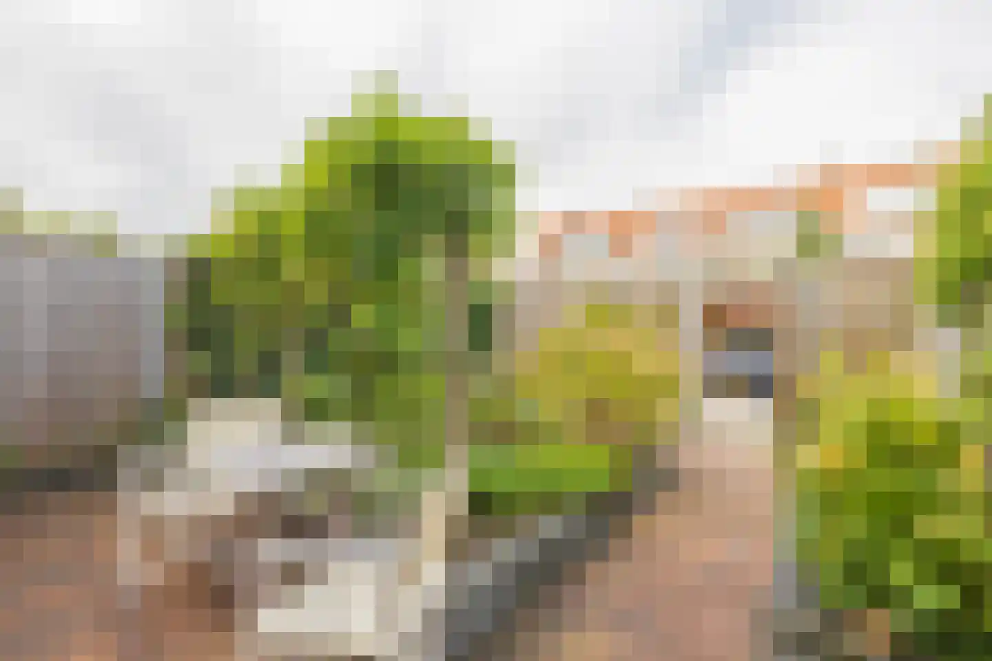Anna Kaulbachstraat 18 Haarlem thumbnail 19