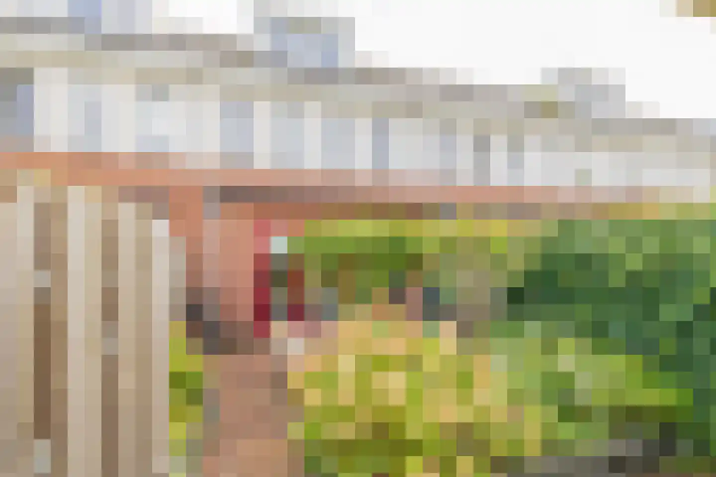 Anna Kaulbachstraat 18 Haarlem thumbnail 20
