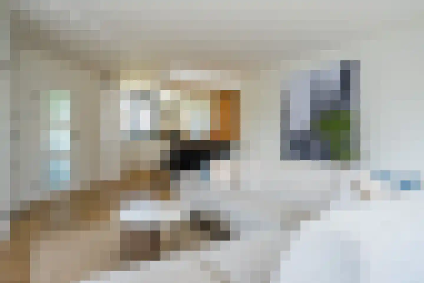 Anna Kaulbachstraat 2 Lisse thumbnail 14