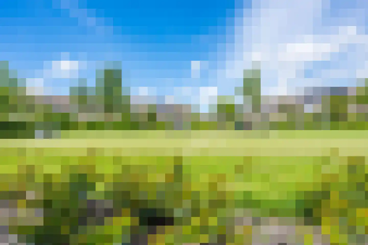 Anna Kaulbachstraat 2 Lisse thumbnail 6