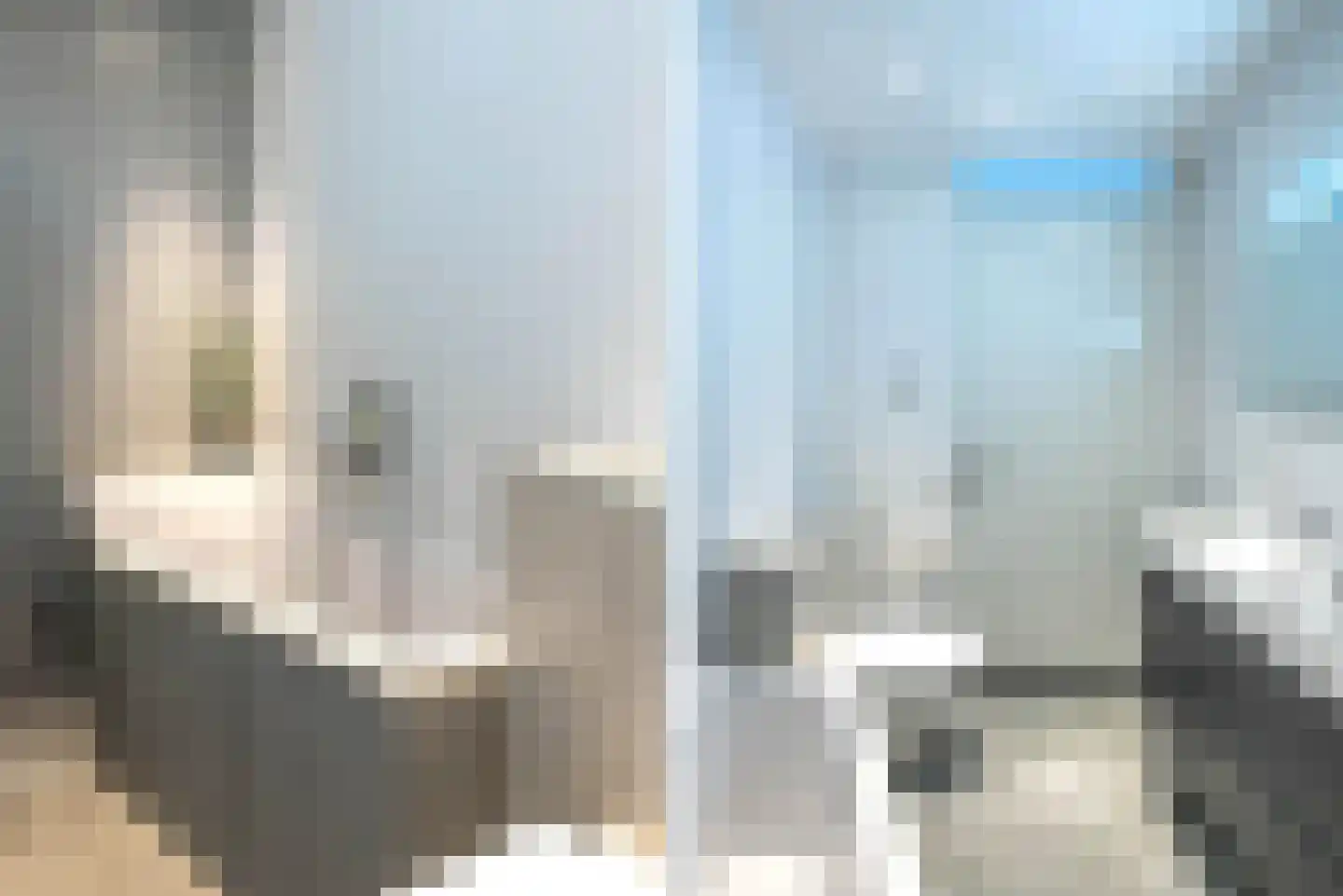 Anna Kaulbachstraat 44 Haarlem thumbnail 23
