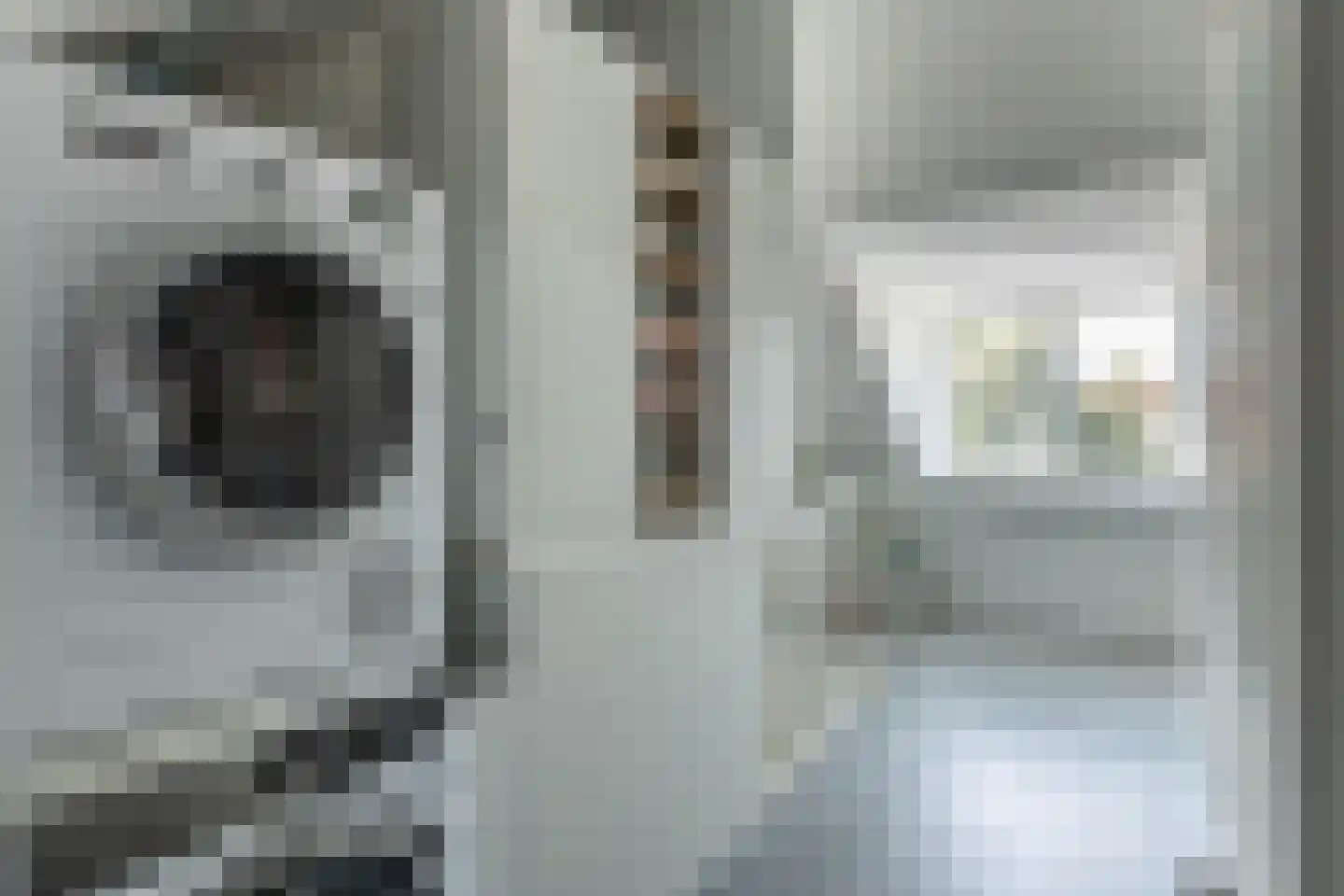 Anna Kaulbachstraat 44 Haarlem thumbnail 26