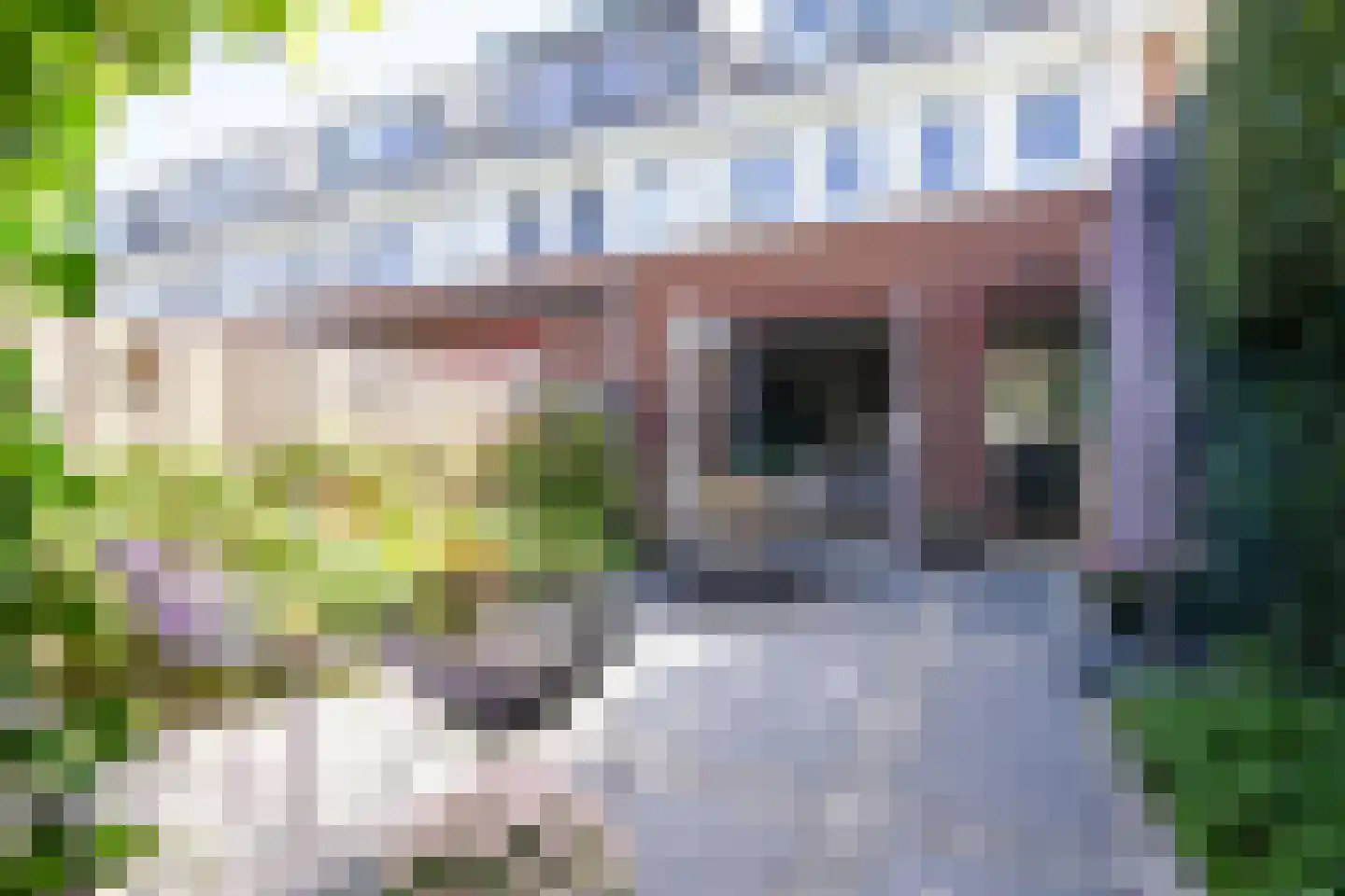 Anna Kaulbachstraat 50 Haarlem thumbnail 25