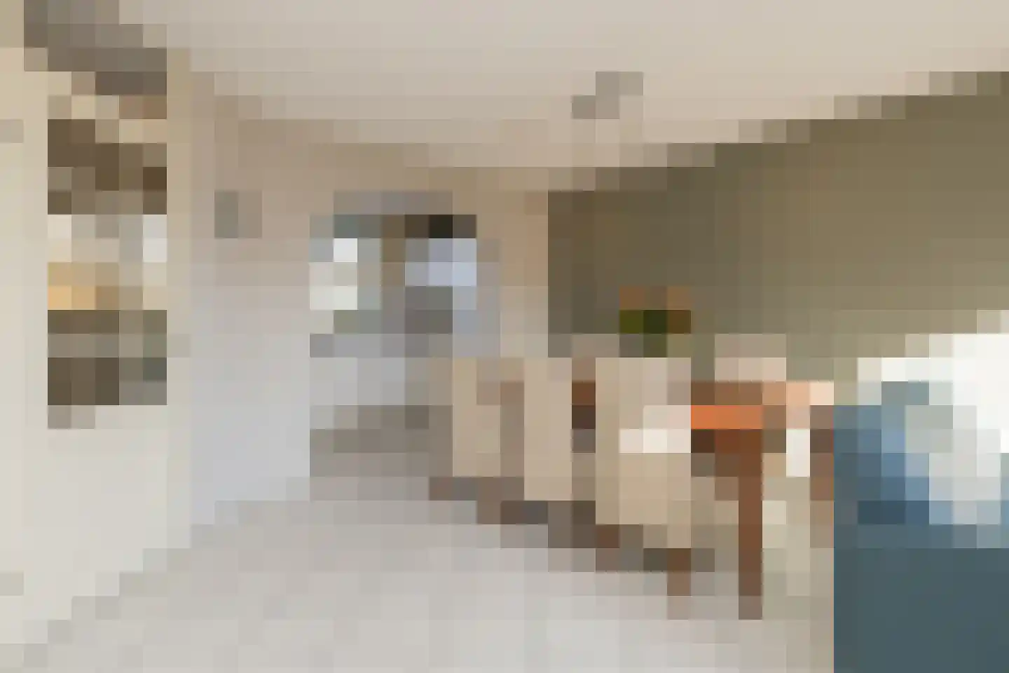 Anna Kaulbachstraat 6 Lisse thumbnail 13