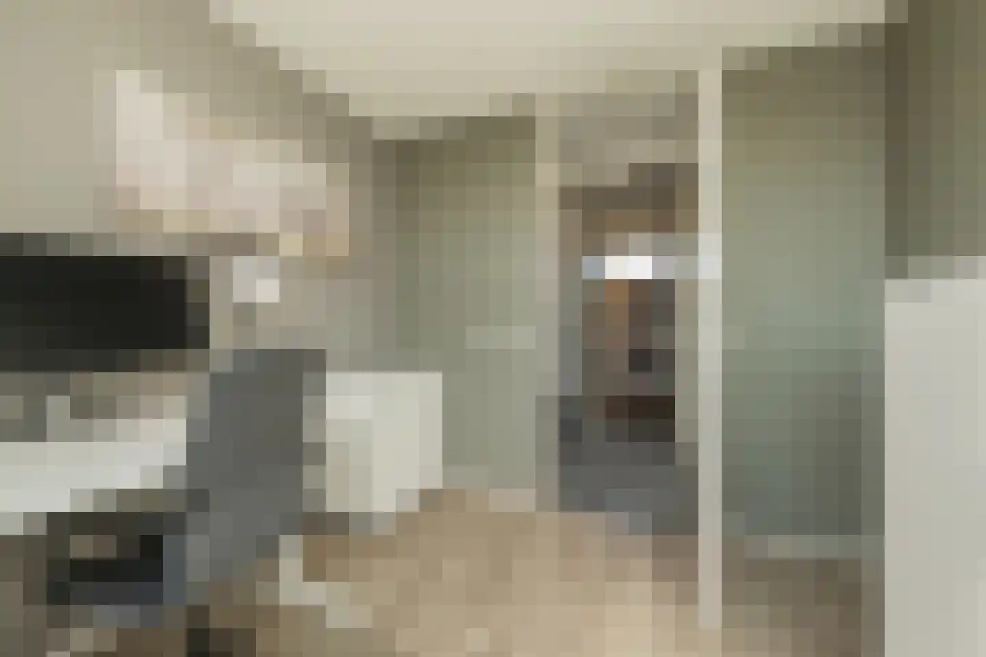 Anna Kaulbachstraat 6 Lisse thumbnail 6