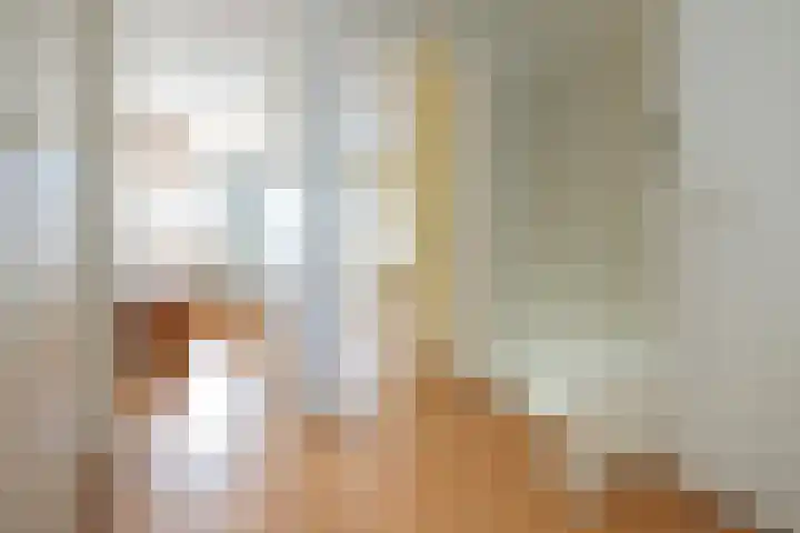 Anna Louisa Salomonstuin 3 Heerhugowaard thumbnail 13