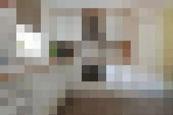 Anna Louisa Salomonstuin 3 Heerhugowaard thumbnail 7