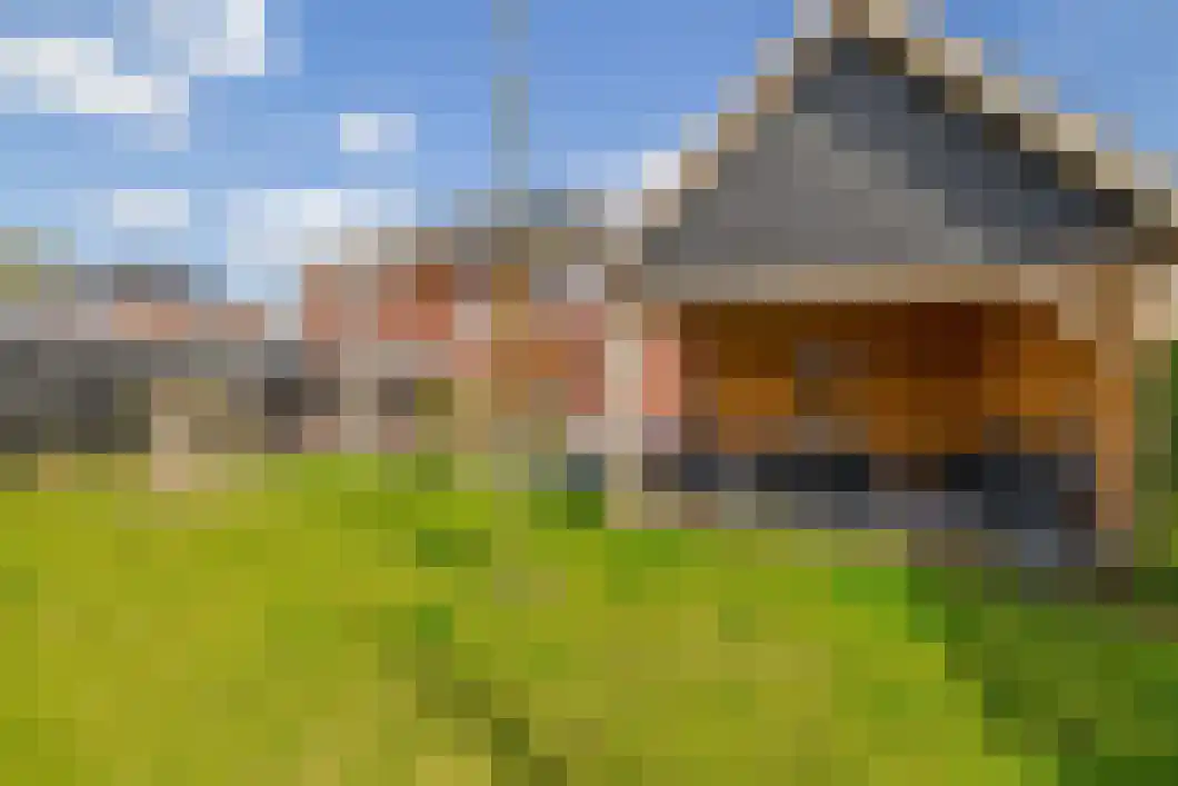 Anna Maria Horalaan 22 B Midwolda thumbnail 5