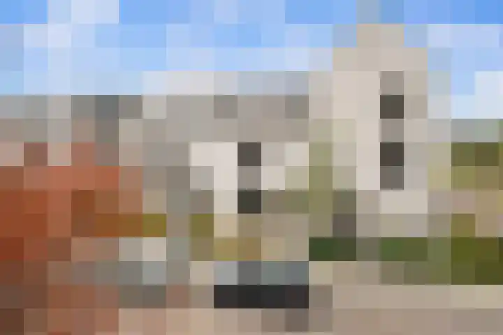 Anna Maria van Cappellenpark 4 Capelle aan den IJssel thumbnail 32