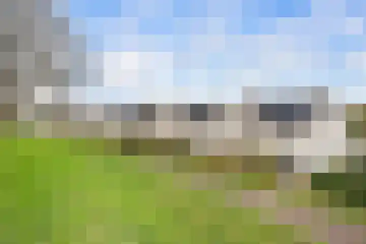 Anna Maria van Cappellenpark 4 Capelle aan den IJssel thumbnail 35