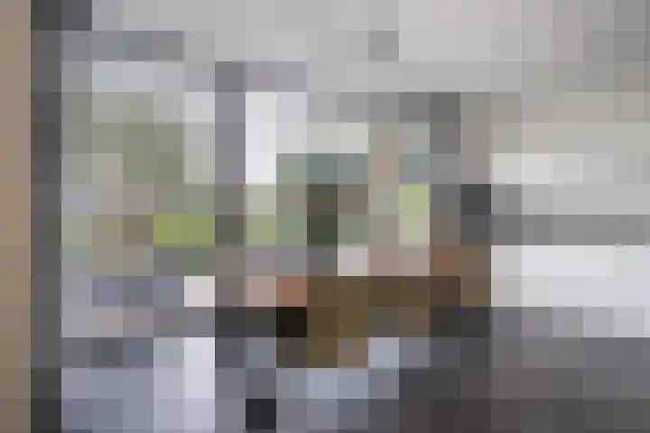 Anna Maria van Cappellenpark 72 Capelle aan den IJssel thumbnail 12