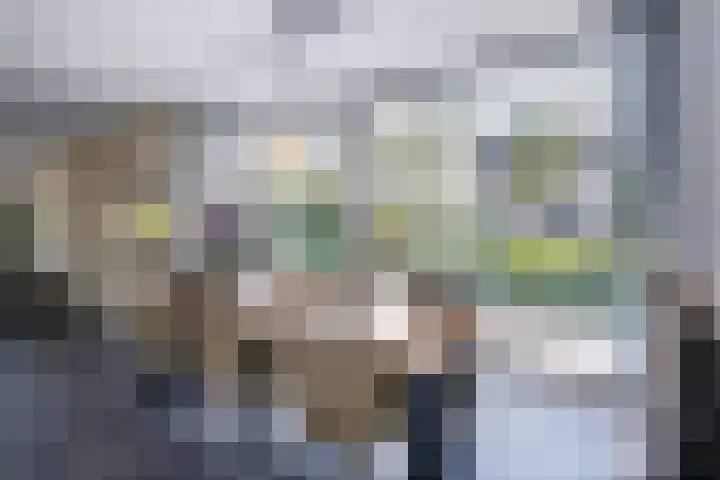 Anna Maria van Cappellenpark 72 Capelle aan den IJssel thumbnail 17