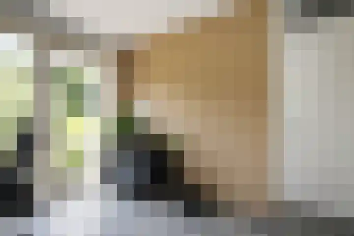 Anna Maria van Cappellenpark 72 Capelle aan den IJssel thumbnail 28