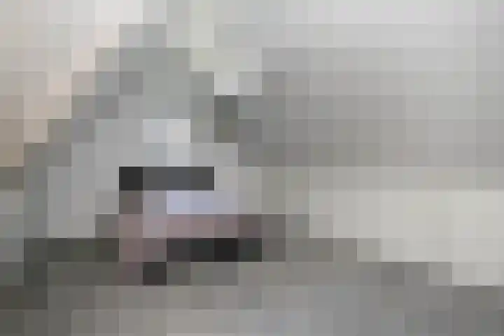 Anna Maria van Cappellenpark 72 Capelle aan den IJssel thumbnail 31