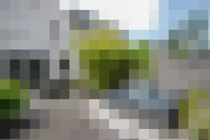Anna Maria van Cappellenpark 72 Capelle aan den IJssel thumbnail 34