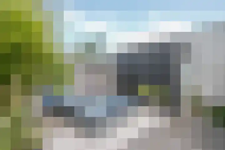 Anna Maria van Cappellenpark 72 Capelle aan den IJssel thumbnail 36