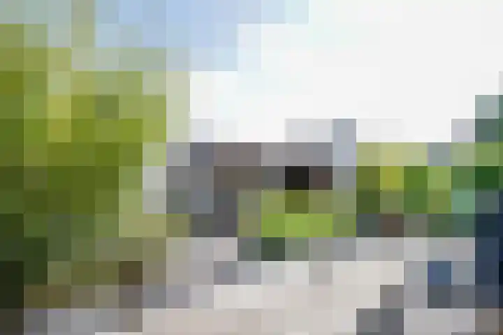 Anna Maria van Cappellenpark 72 Capelle aan den IJssel thumbnail 37