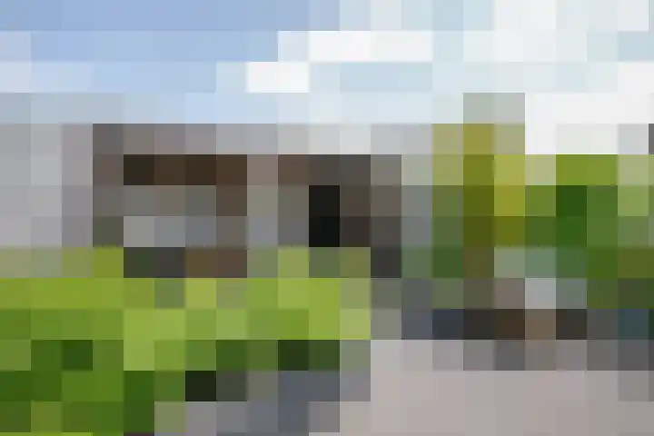 Anna Maria van Cappellenpark 72 Capelle aan den IJssel thumbnail 44