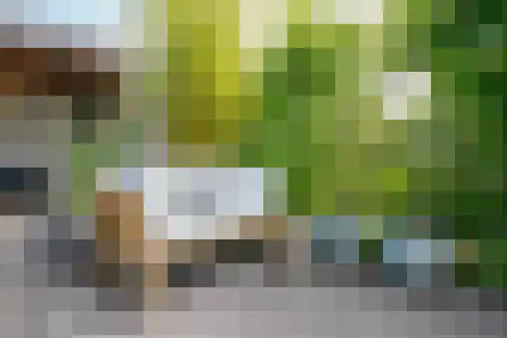 Anna Maria van Cappellenpark 72 Capelle aan den IJssel thumbnail 45