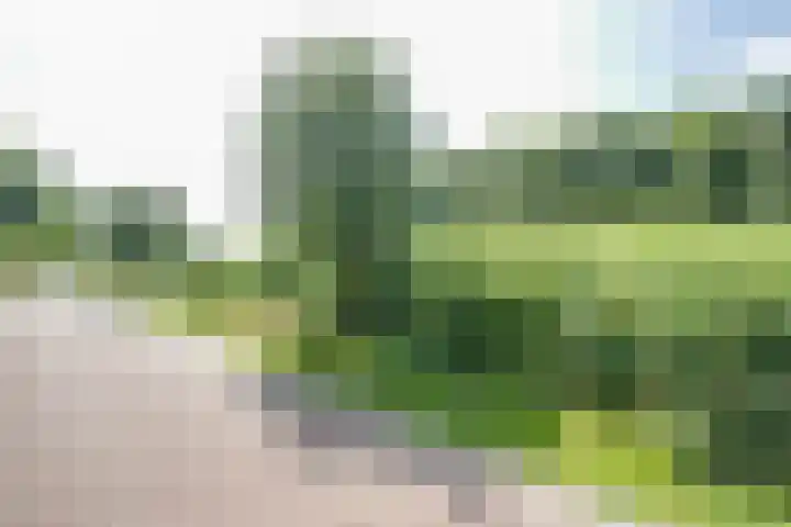 Anna Maria van Cappellenpark 72 Capelle aan den IJssel thumbnail 54