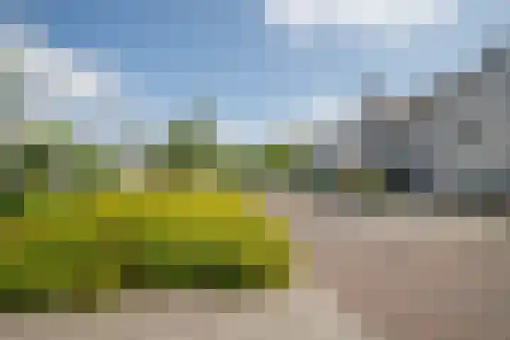 Anna Maria van Cappellenpark 72 Capelle aan den IJssel thumbnail 57