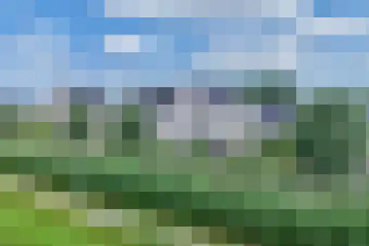 Anna Maria van Cappellenpark 72 Capelle aan den IJssel thumbnail 58