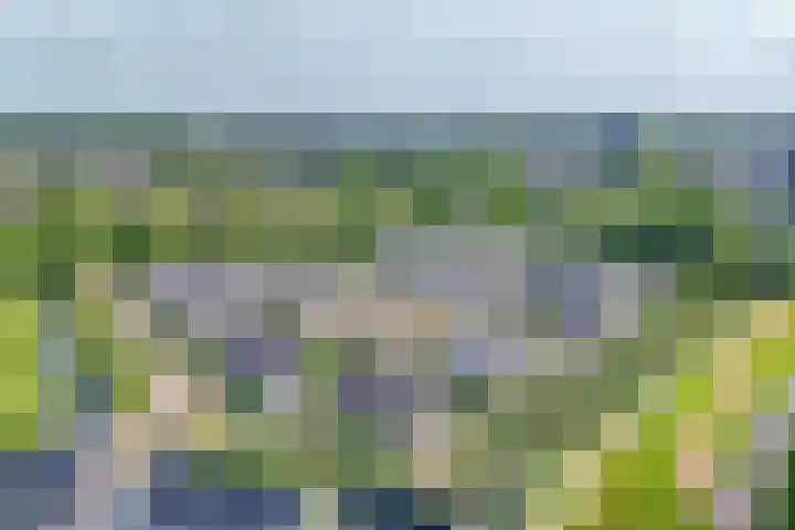 Anna Maria van Cappellenpark 72 Capelle aan den IJssel thumbnail 60
