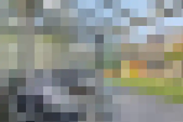 Anna Maria van Cappellenpark 77 Capelle aan den IJssel thumbnail 26