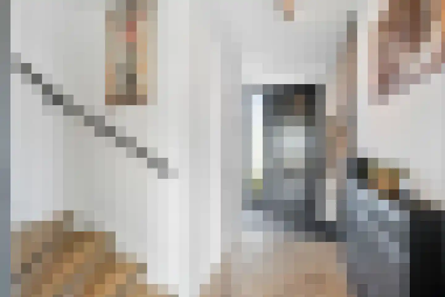 Anna Maria van Schurmanlaan 104 Almere thumbnail 11