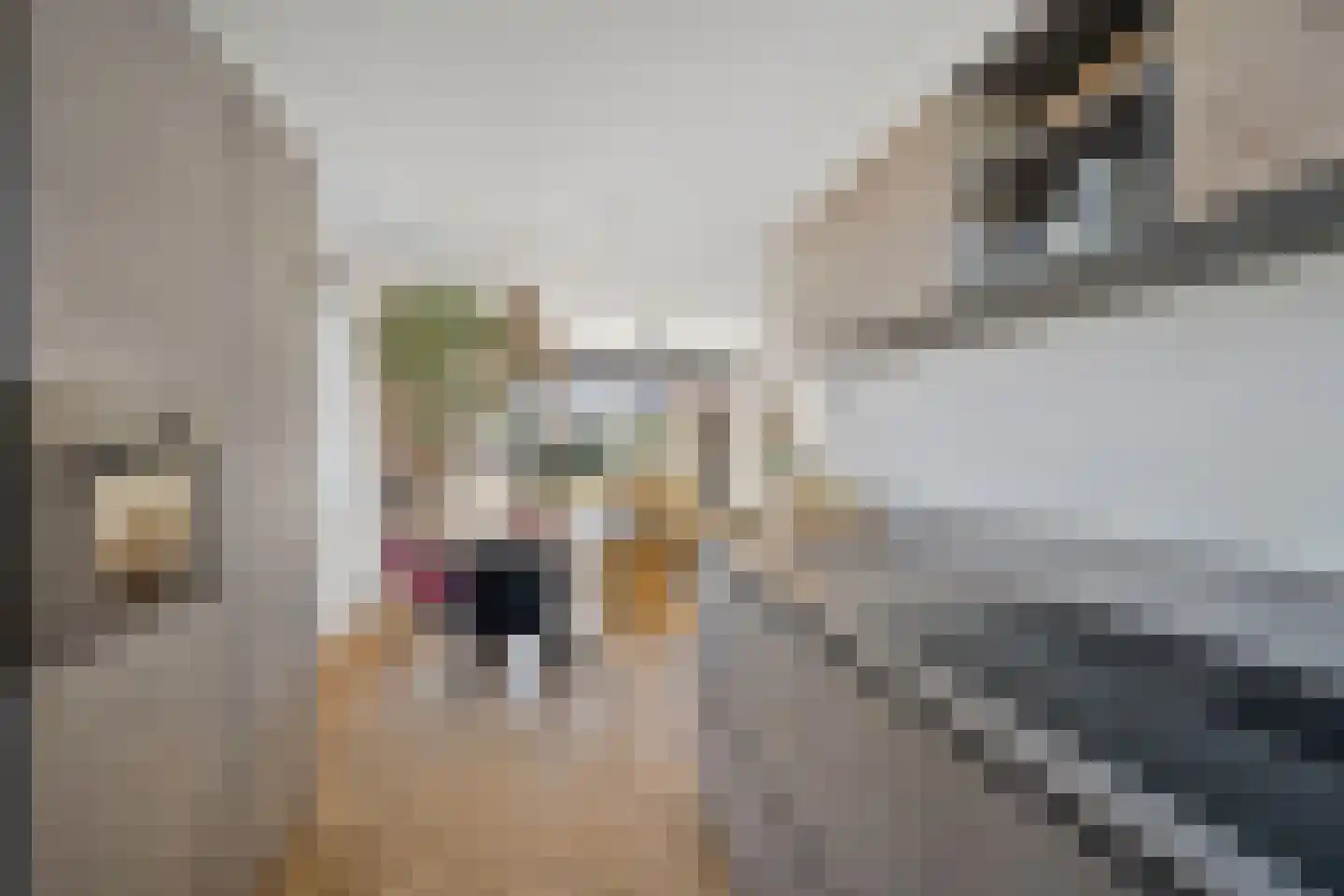 Anna Maria van Schurmanlaan 104 Almere thumbnail 25