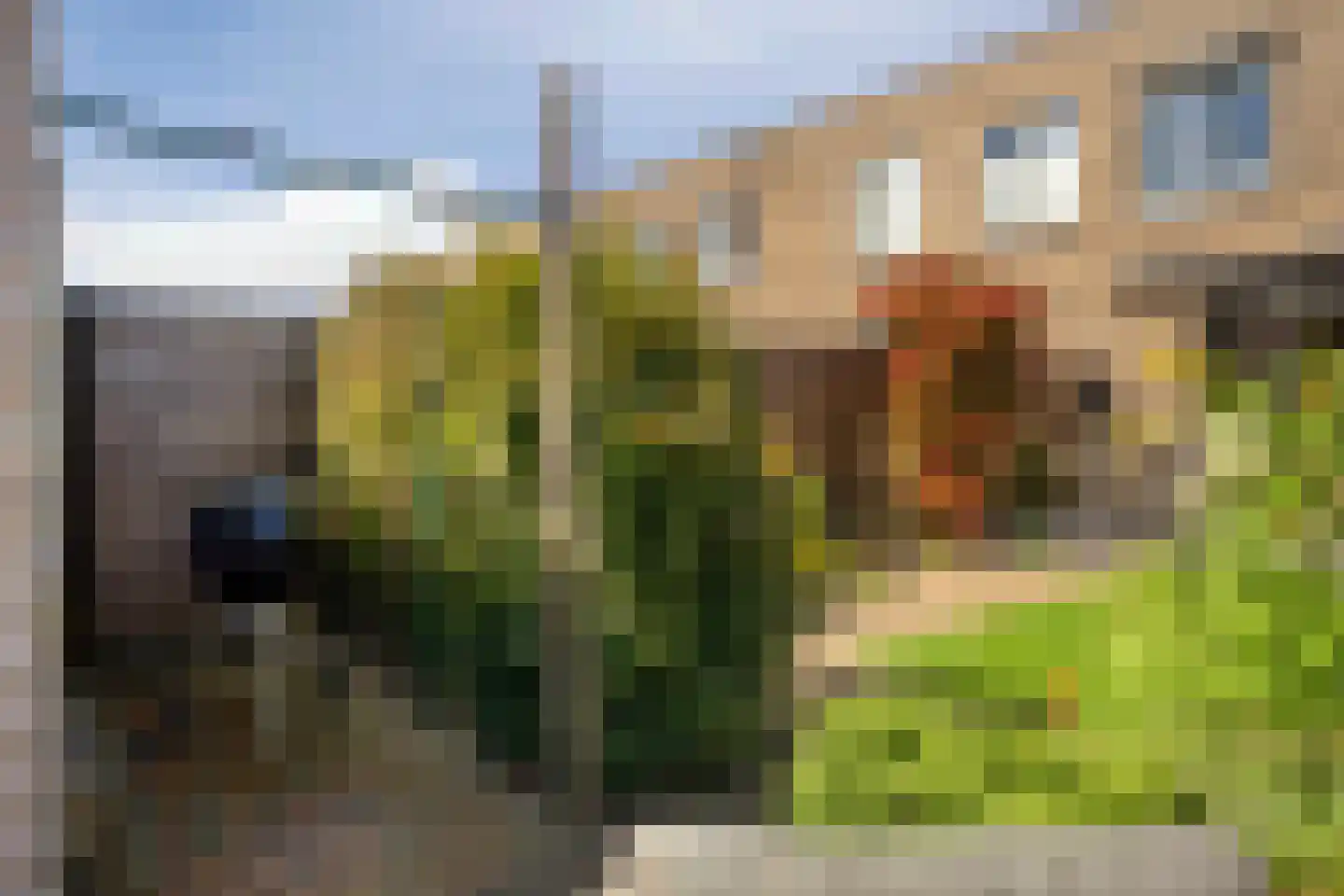 Anna Maria van Schurmanlaan 104 Almere thumbnail 55